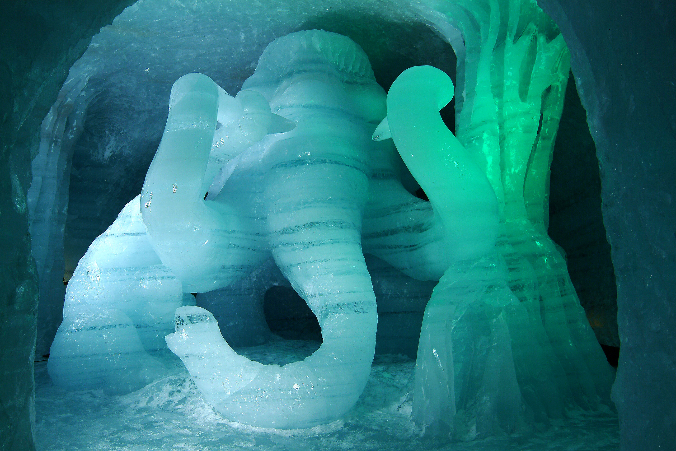 Fuckas_de_glace